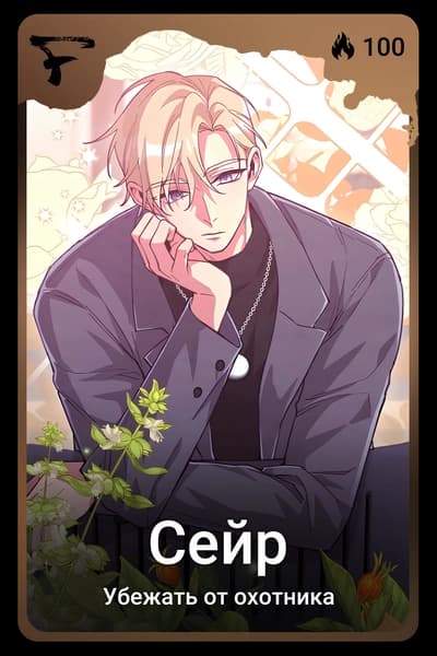 Сейр